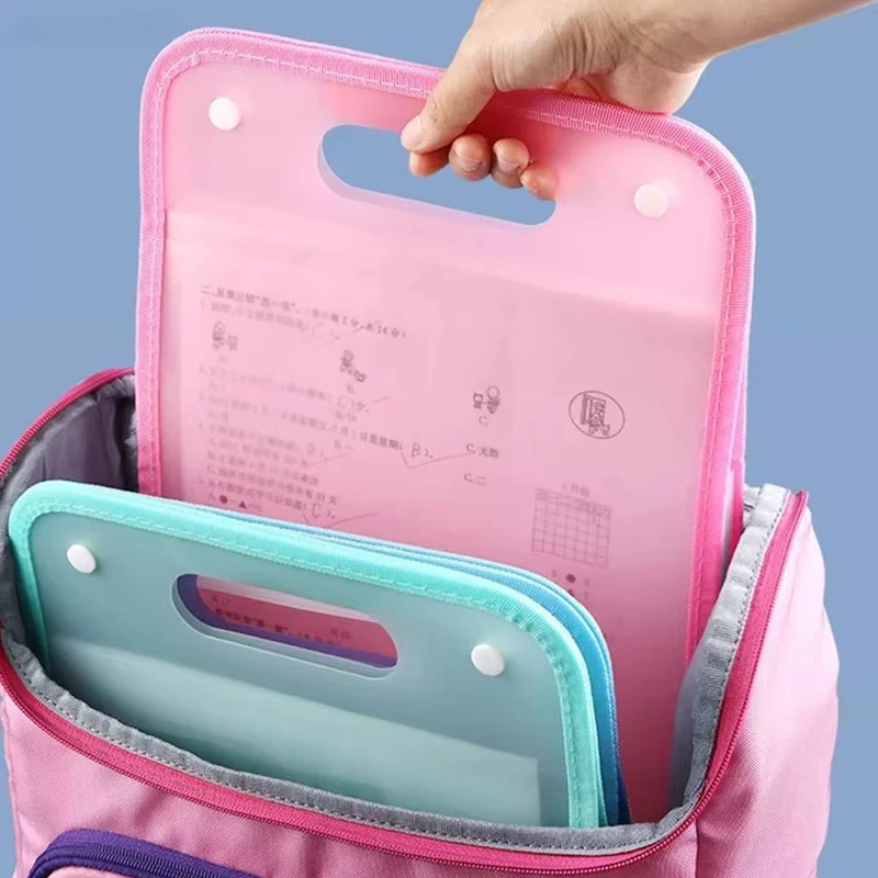 13-Fächer A4 Akkordeon-Aktenor – Expandable Accordion File Folder 13 Pockets Bewertung und Preis